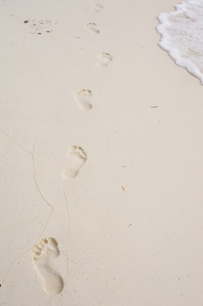 Maldivian beach.