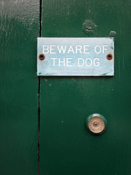 London Beware Dog